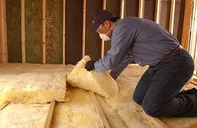 Best Basement Insulation  in Sneedville, TN